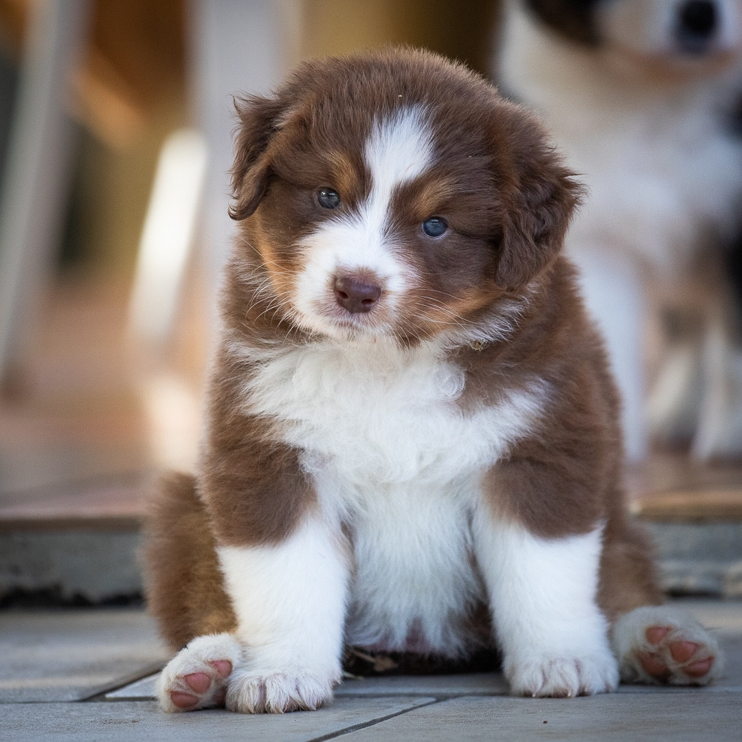 U remind me  du Val d'Aury