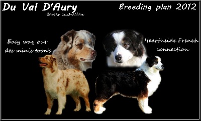 du Val d'Aury - Confirmation de gestation